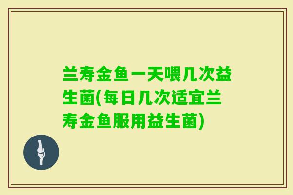 兰寿金鱼一天喂几次益生菌(每日几次适宜兰寿金鱼服用益生菌)