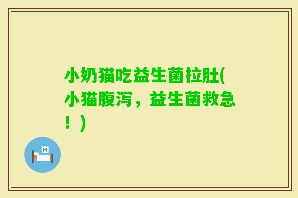 小奶猫吃益生菌拉肚(小猫，益生菌救急！)