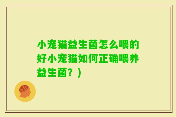 小宠猫益生菌怎么喂的好小宠猫如何正确喂养益生菌？)