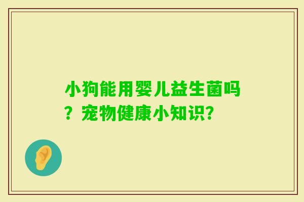 小狗能用婴儿益生菌吗？宠物健康小知识？