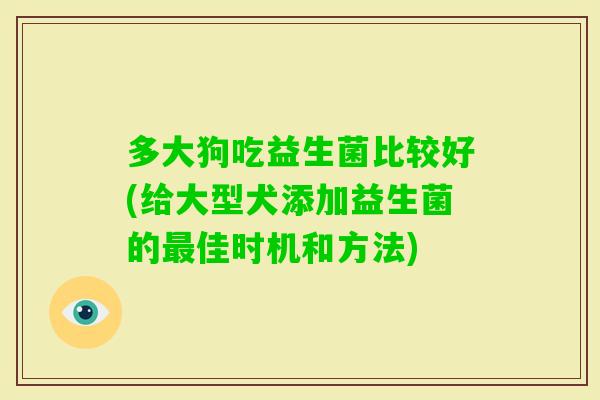 多大狗吃益生菌比较好(给大型犬添加益生菌的佳时机和方法)
