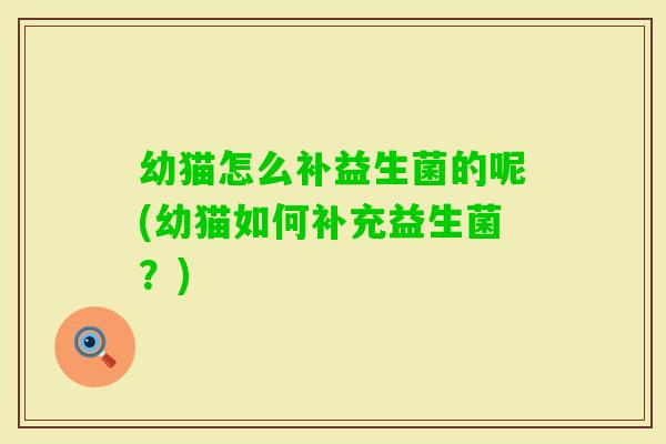 幼猫怎么补益生菌的呢(幼猫如何补充益生菌？)