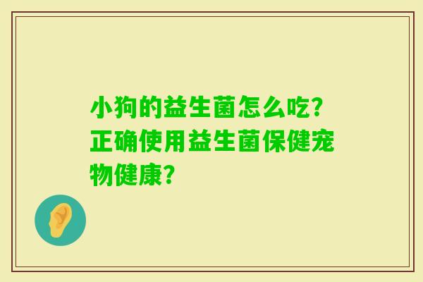 小狗的益生菌怎么吃？正确使用益生菌保健宠物健康？