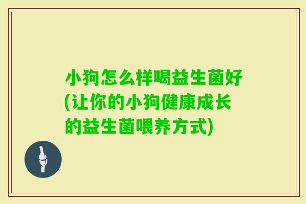 小狗怎么样喝益生菌好(让你的小狗健康成长的益生菌喂养方式)