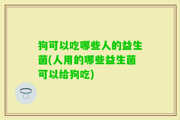 狗可以吃哪些人的益生菌(人用的哪些益生菌可以给狗吃)