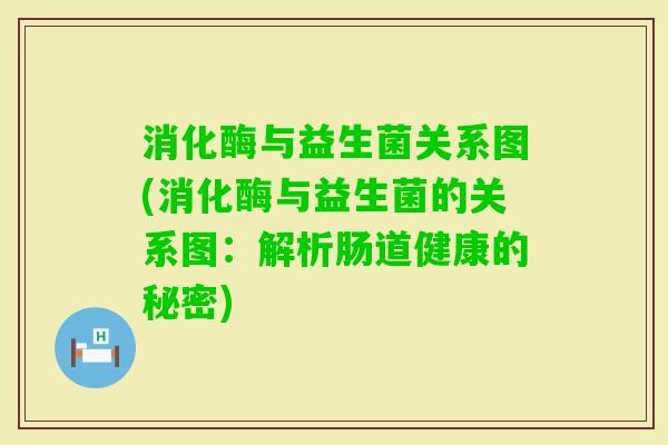 消化酶与益生菌关系图(消化酶与益生菌的关系图：解析肠道健康的秘密)