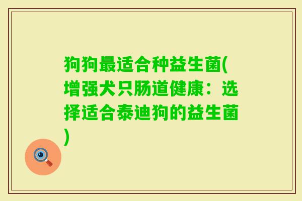 狗狗适合种益生菌(增强犬只肠道健康：选择适合泰迪狗的益生菌)