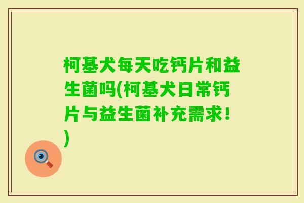 柯基犬每天吃钙片和益生菌吗(柯基犬日常钙片与益生菌补充需求！)