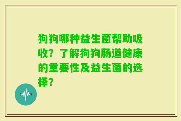 狗狗哪种益生菌帮助吸收？了解狗狗肠道健康的重要性及益生菌的选择？