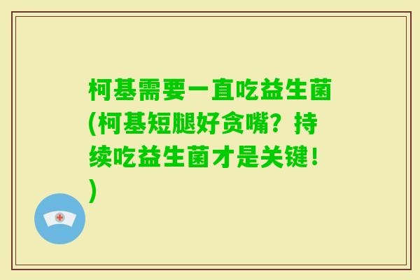 柯基需要一直吃益生菌(柯基短腿好贪嘴？持续吃益生菌才是关键！)