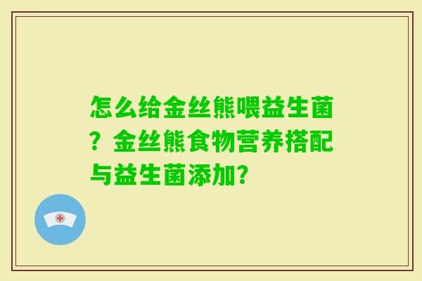 怎么给金丝熊喂益生菌？金丝熊食物营养搭配与益生菌添加？