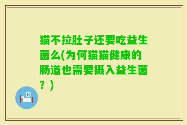 猫不拉肚子还要吃益生菌么(为何猫猫健康的肠道也需要摄入益生菌？)