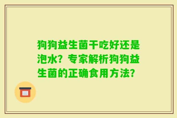 狗狗益生菌干吃好还是泡水？专家解析狗狗益生菌的正确食用方法？