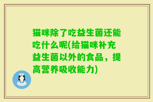 猫咪除了吃益生菌还能吃什么呢(给猫咪补充益生菌以外的食品，提高营养吸收能力)