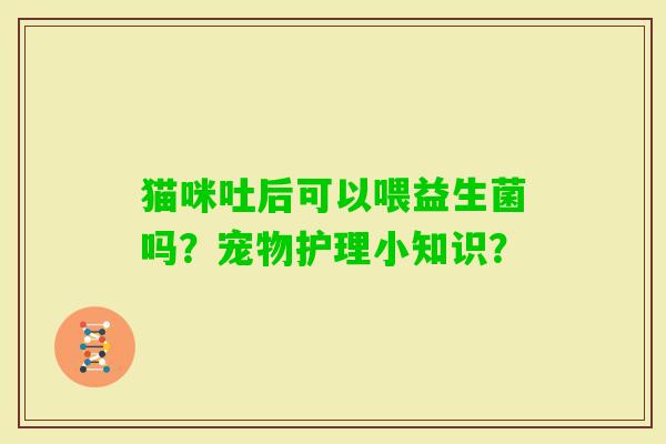 猫咪吐后可以喂益生菌吗？宠物护理小知识？