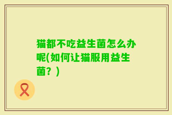 猫都不吃益生菌怎么办呢(如何让猫服用益生菌？)