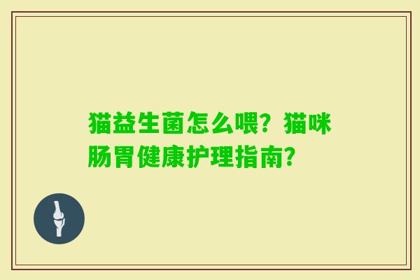 猫益生菌怎么喂？猫咪肠胃健康护理指南？