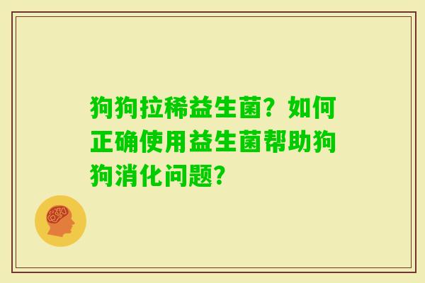 狗狗拉稀益生菌？如何正确使用益生菌帮助狗狗消化问题？