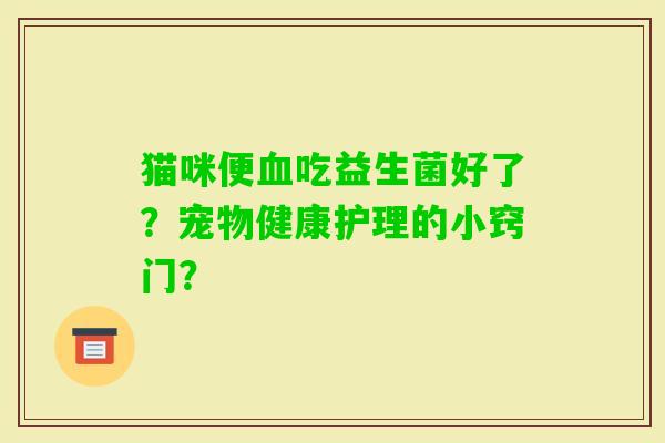 猫咪便吃益生菌好了？宠物健康护理的小窍门？