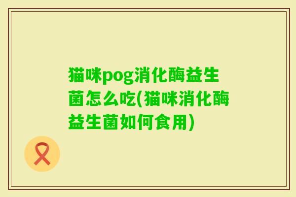猫咪pog消化酶益生菌怎么吃(猫咪消化酶益生菌如何食用)