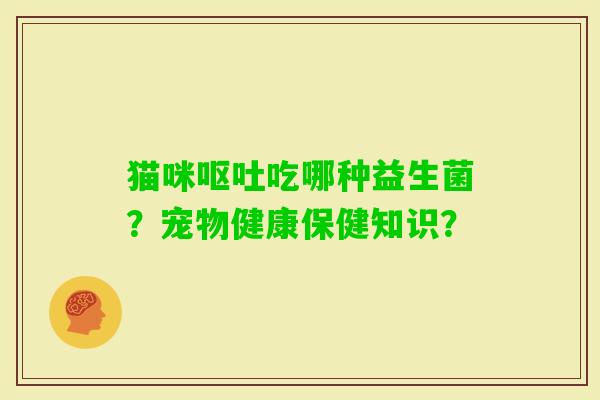 猫咪吃哪种益生菌？宠物健康保健知识？