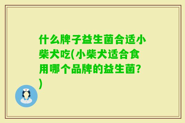 什么牌子益生菌合适小柴犬吃(小柴犬适合食用哪个品牌的益生菌?) 什么牌子益生菌合适小柴犬吃(小柴犬适合食用哪个品牌的益生菌?)