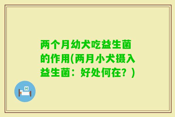两个月幼犬吃益生菌 的作用(两月小犬摄入益生菌：好处何在？)