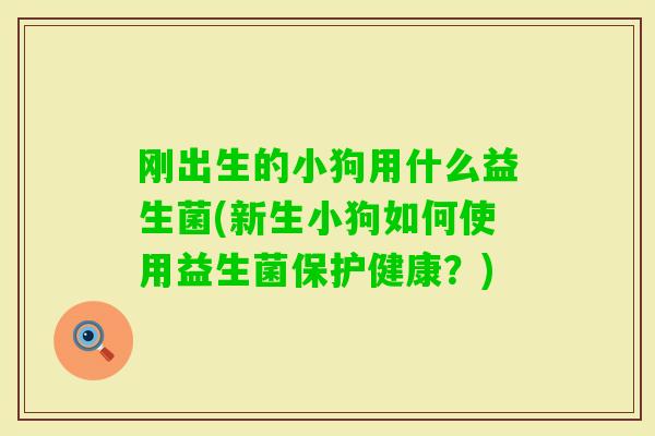 刚出生的小狗用什么益生菌(新生小狗如何使用益生菌保护健康？)