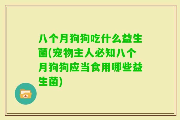 八个月狗狗吃什么益生菌(宠物主人必知八个月狗狗应当食用哪些益生菌)