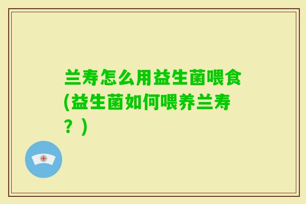 兰寿怎么用益生菌喂食(益生菌如何喂养兰寿?) 兰寿怎么用益生菌喂食(益生菌如何喂养兰寿?)