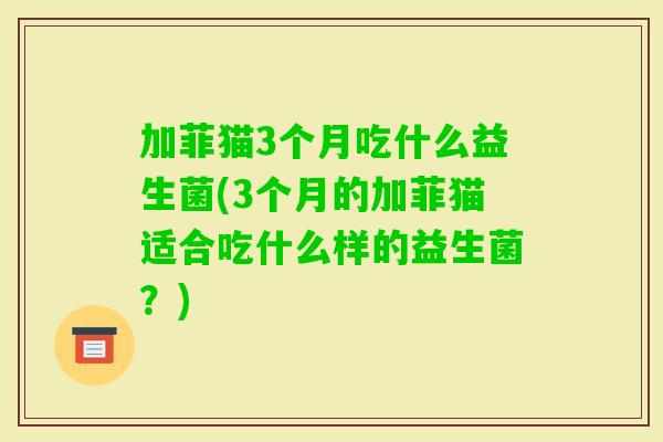 加菲猫3个月吃什么益生菌(3个月的加菲猫适合吃什么样的益生菌？)