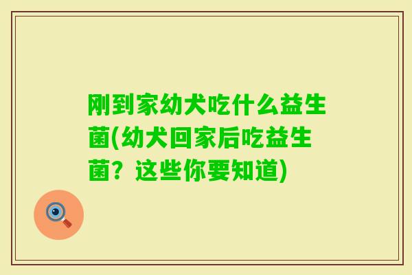刚到家幼犬吃什么益生菌(幼犬回家后吃益生菌?这些你要知道) 刚到家幼犬吃什么益生菌(幼犬回家后吃益生菌?这些你要知道)