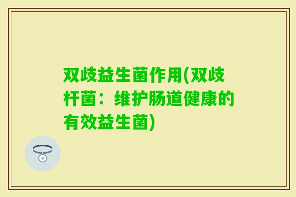 双歧益生菌作用(双歧杆菌：维护肠道健康的有效益生菌)