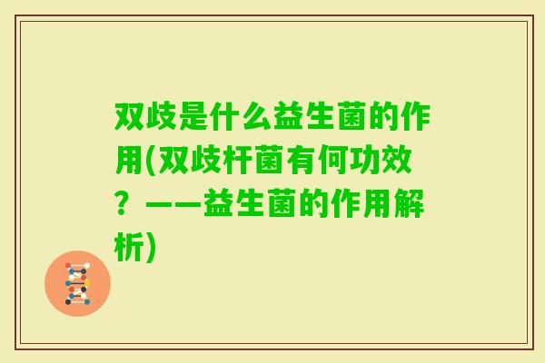 双歧是什么益生菌的作用(双歧杆菌有何功效？——益生菌的作用解析)