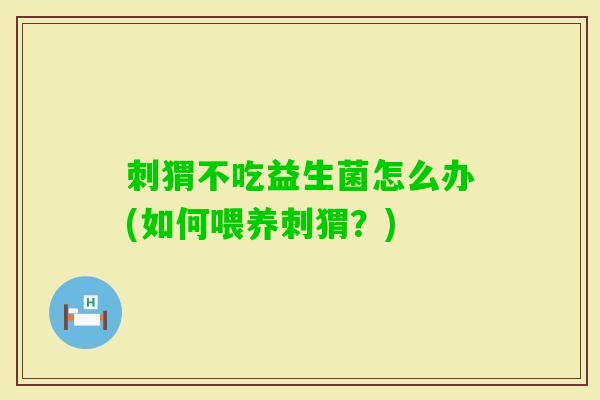刺猬不吃益生菌怎么办(如何喂养刺猬?) 刺猬不吃益生菌怎么办(如何喂养刺猬?)