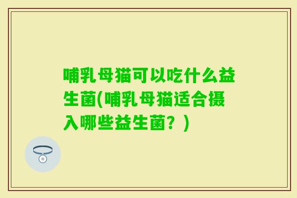 哺乳母猫可以吃什么益生菌(哺乳母猫适合摄入哪些益生菌？)