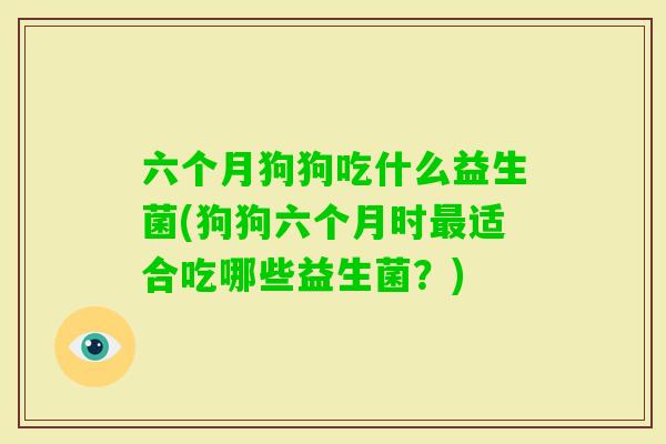 六个月狗狗吃什么益生菌(狗狗六个月时适合吃哪些益生菌？)