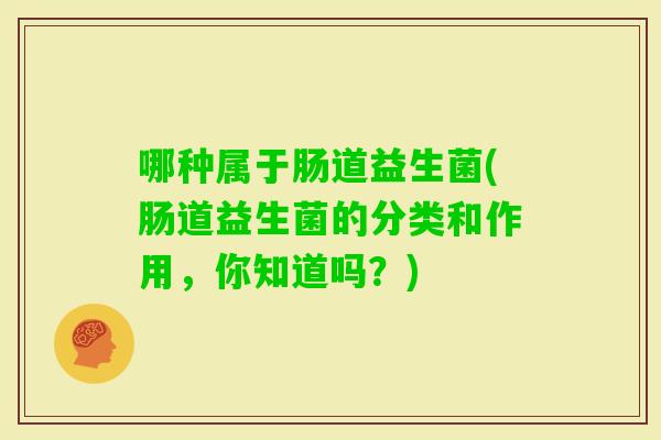哪种属于肠道益生菌(肠道益生菌的分类和作用,你知道吗?) 哪种属于肠道益生菌(肠道益生菌的分类和作用,你知道吗?)
