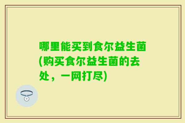哪里能买到食尔益生菌(购买食尔益生菌的去处，一网打尽)
