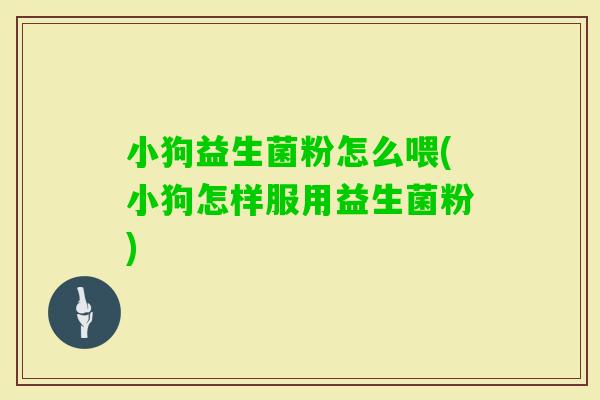 小狗益生菌粉怎么喂(小狗怎样服用益生菌粉)