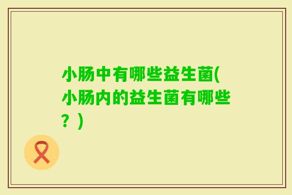 小肠中有哪些益生菌(小肠内的益生菌有哪些？)
