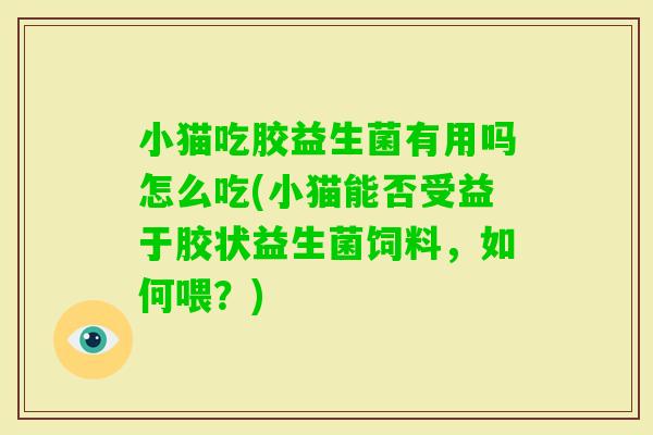 小猫吃胶益生菌有用吗怎么吃(小猫能否受益于胶状益生菌饲料，如何喂？)