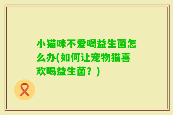 小猫咪不爱喝益生菌怎么办(如何让宠物猫喜欢喝益生菌？)
