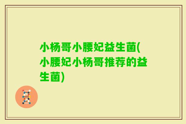 小杨哥小腰妃益生菌(小腰妃小杨哥推荐的益生菌)