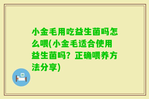 小金毛用吃益生菌吗怎么喂(小金毛适合使用益生菌吗？正确喂养方法分享)