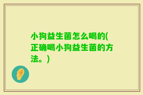 小狗益生菌怎么喝的(正确喝小狗益生菌的方法。) 小狗益生菌怎么喝的(正确喝小狗益生菌的方法。)