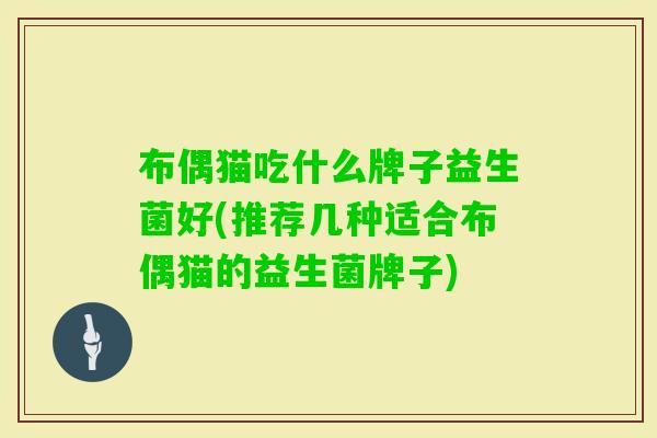 布偶猫吃什么牌子益生菌好(推荐几种适合布偶猫的益生菌牌子)