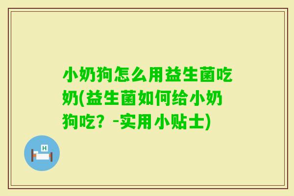 小奶狗怎么用益生菌吃奶(益生菌如何给小奶狗吃？-实用小贴士)