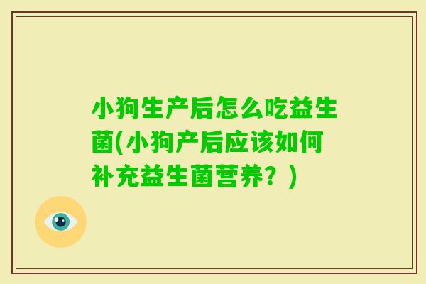 小狗生产后怎么吃益生菌(小狗产后应该如何补充益生菌营养？)