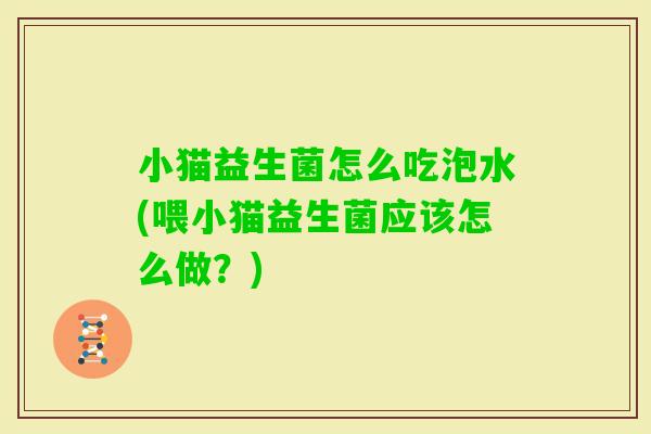 小猫益生菌怎么吃泡水(喂小猫益生菌应该怎么做？)